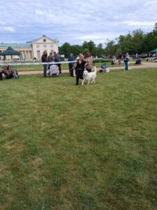 Brixie 81_20250517_095419 (1)
